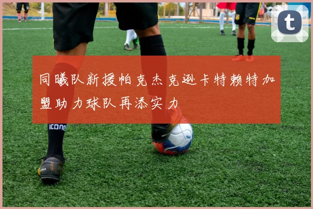 同曦队新援帕克杰克逊卡特赖特加盟助力球队再添实力